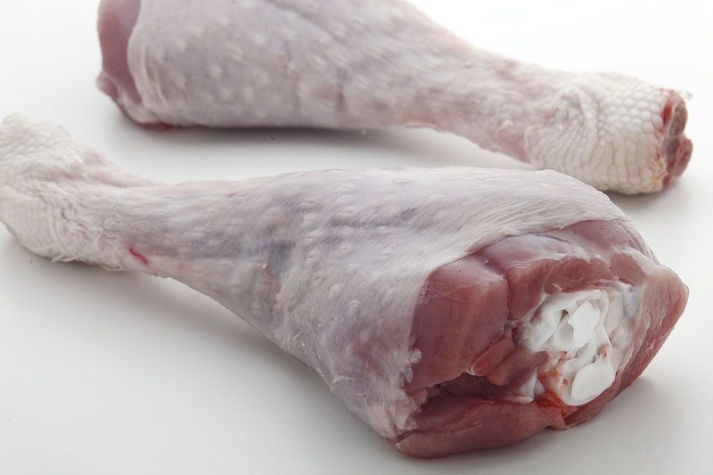 El nostre gall d' indi