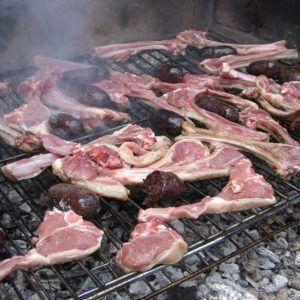 Xai de ramat del Montseny