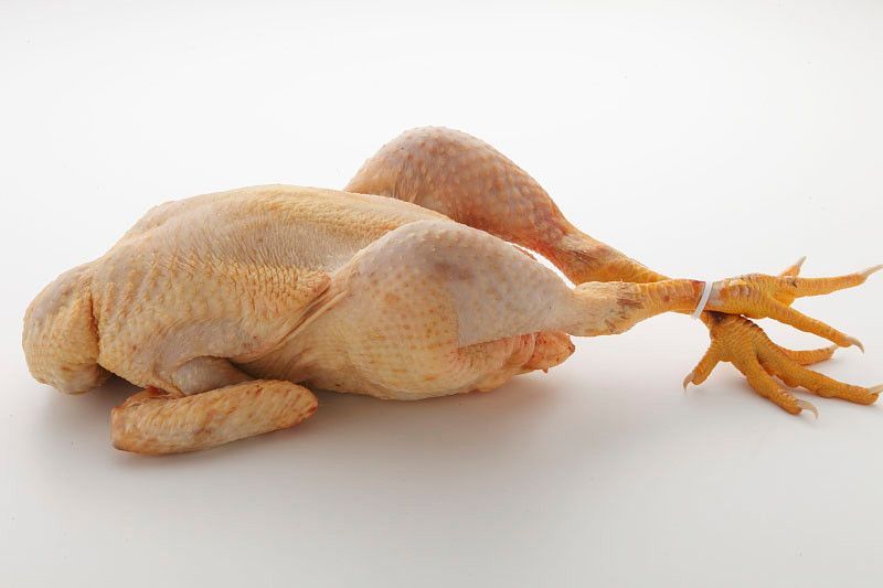 L' autèntic pollastre de pagès !!!