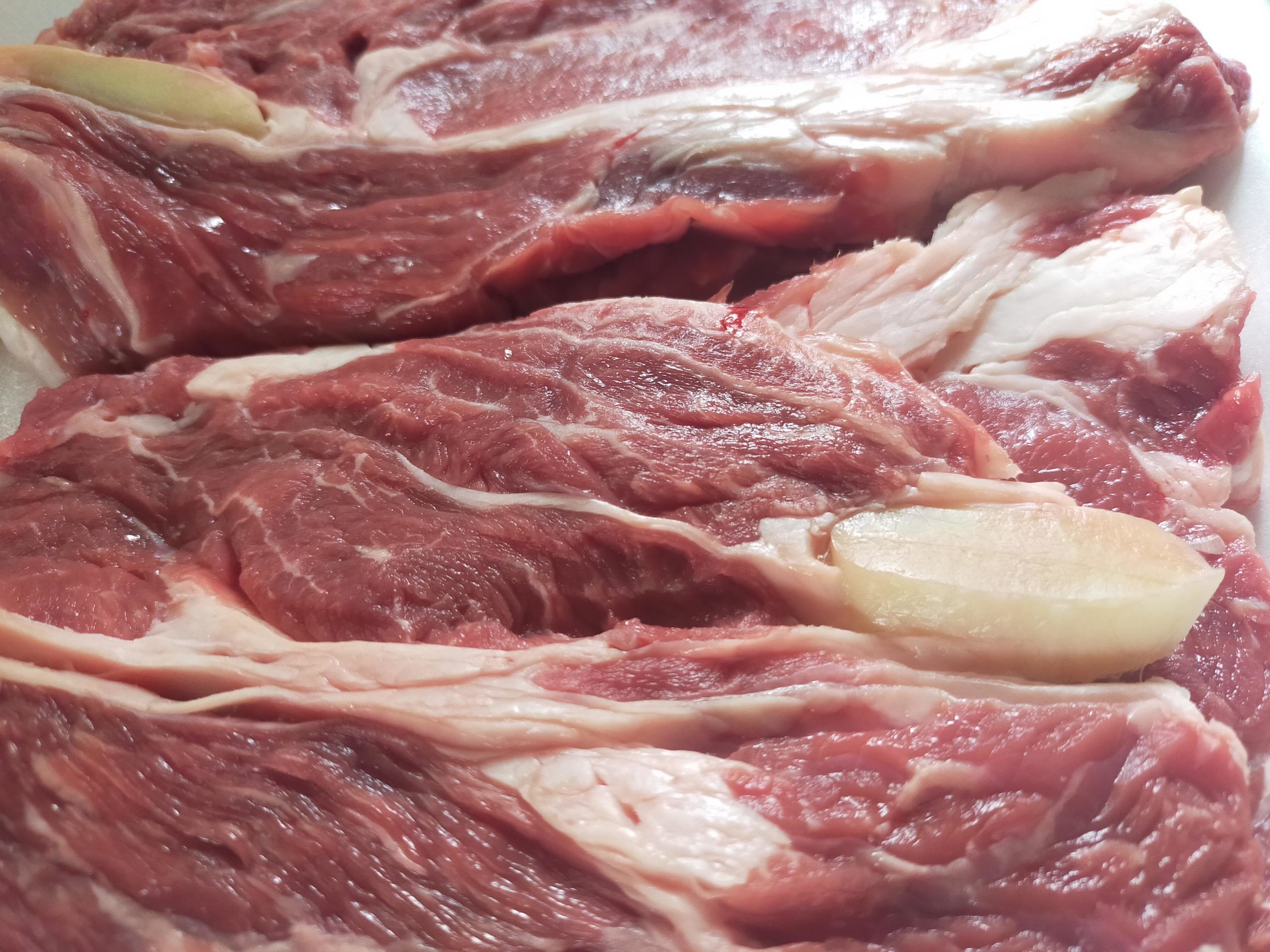 Filet de pobre Bistec filet de pobre